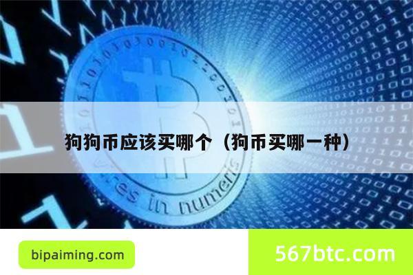 狗狗币应该买哪个（狗币买哪一种）