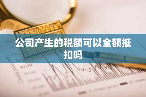 公司产生的税额可以全额抵扣吗