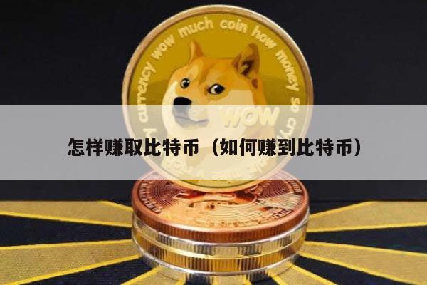 怎样赚取比特币（如何赚到比特币）