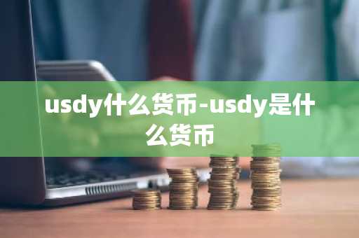 usdy什么货币-usdy是什么货币