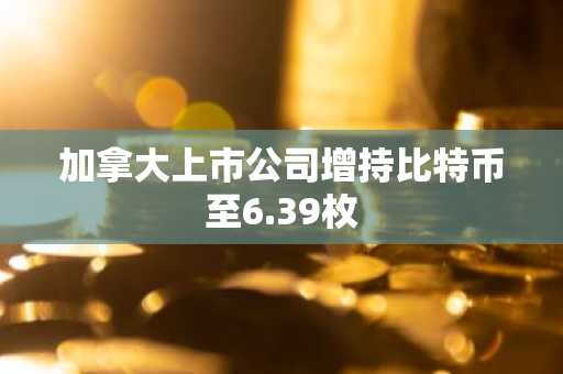 加拿大上市公司增持比特币至6.39枚
