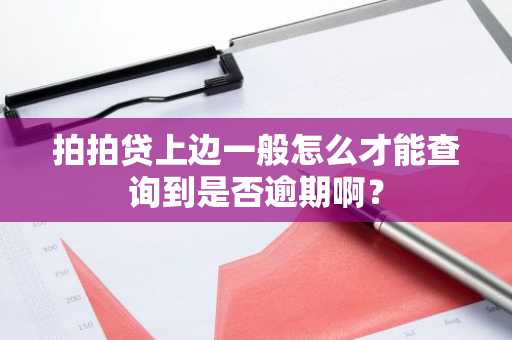 拍拍贷上边一般怎么才能查询到是否逾期啊？