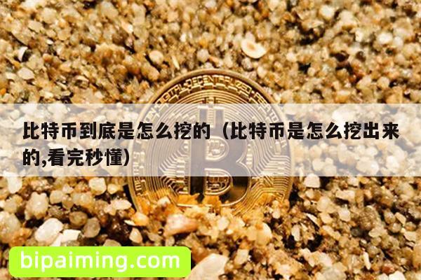 比特币到底是怎么挖的（比特币是怎么挖出来的,看完秒懂）