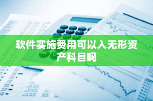 软件实施费用可以入无形资产科目吗