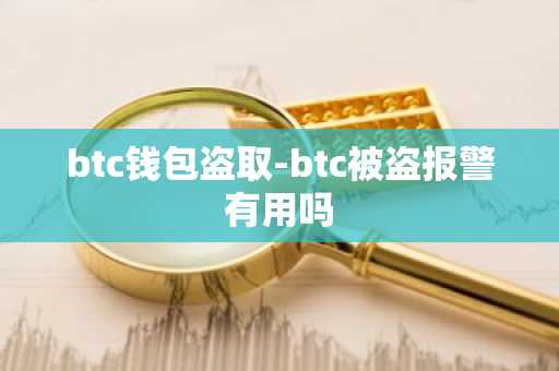 btc钱包盗取-btc被盗报警有用吗