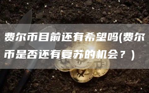 费尔币目前还有希望吗 - 费尔币是否还有复苏的机会？