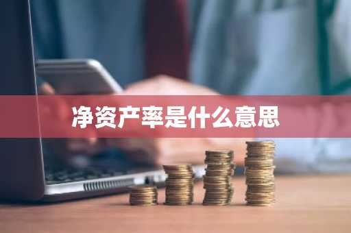 净资产率是什么意思