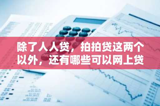 除了人人贷，拍拍贷这两个以外，还有哪些可以网上贷款？