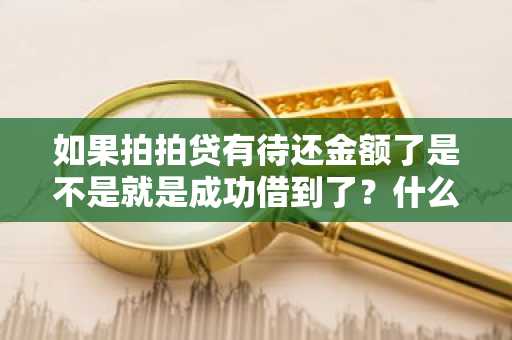 如果拍拍贷有待还金额了是不是就是成功借到了？什么时候还款？