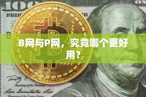B网与P网，究竟哪个更好用？