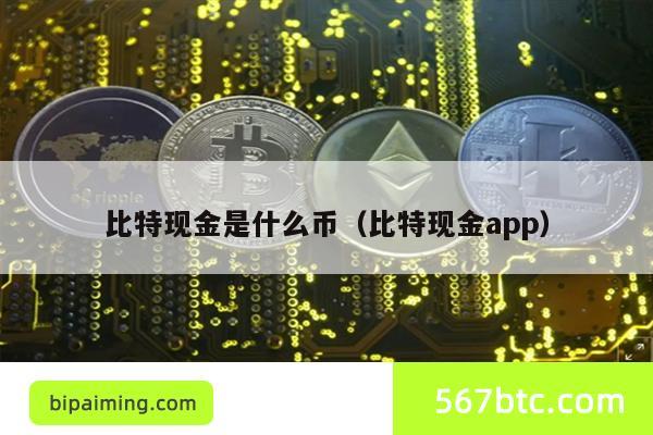 比特现金是什么币（比特现金app）