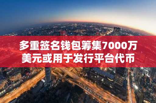多重签名钱包筹集7000万美元或用于发行平台代币