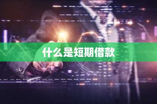 什么是短期借款