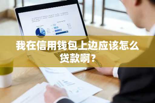 我在信用钱包上边应该怎么贷款啊？