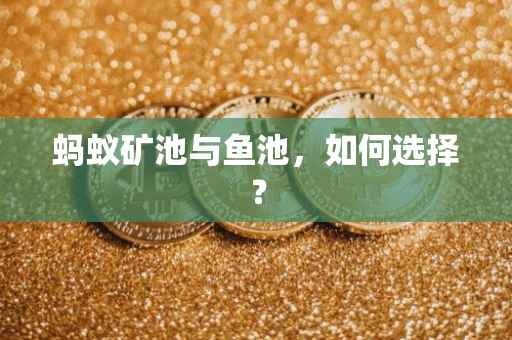 蚂蚁矿池与鱼池，如何选择？