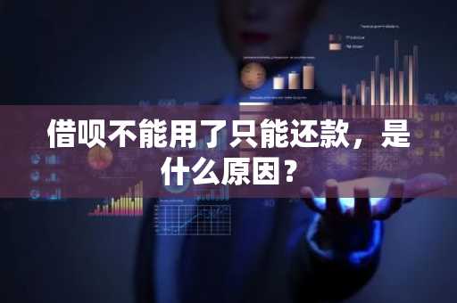 借呗不能用了只能还款，是什么原因？