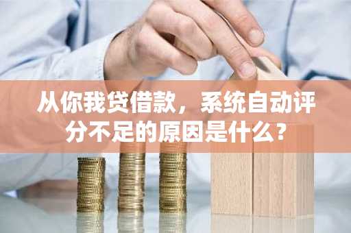 从你我贷借款，系统自动评分不足的原因是什么？