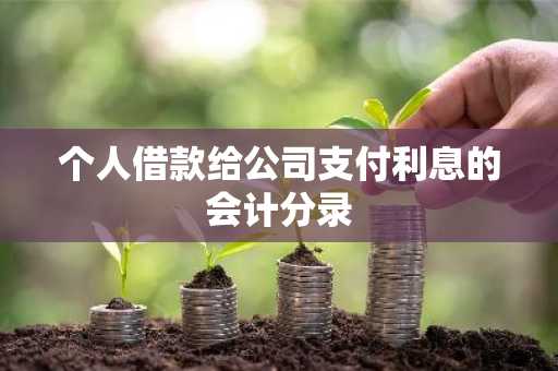 个人借款给公司支付利息的会计分录