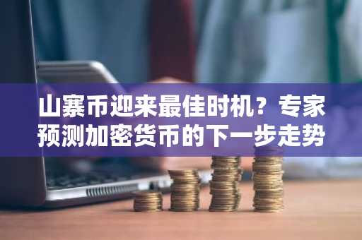 山寨币迎来最佳时机？专家预测加密货币的下一步走势