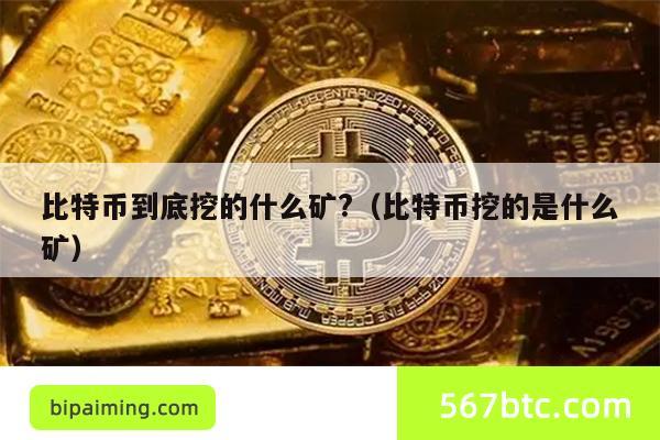 比特币到底挖的什么矿?（比特币挖的是什么矿）