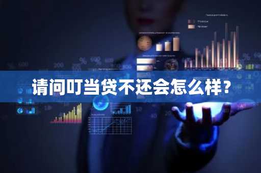 请问叮当贷不还会怎么样？
