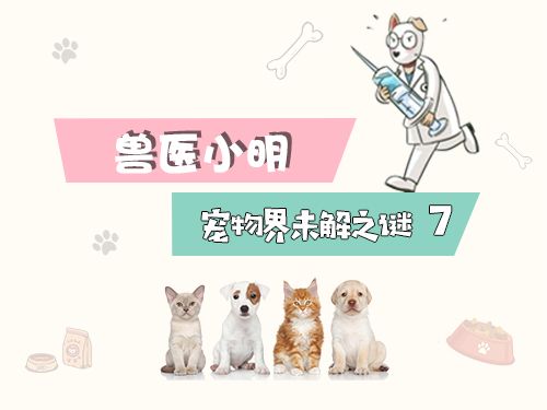 猫咪咕噜咕噜的声音很大（猫咪咕噜咕噜的声音很大是怎么回事）