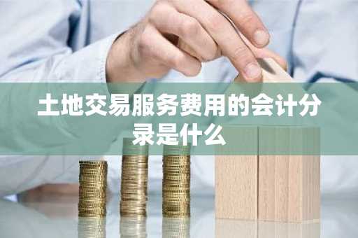 土地交易服务费用的会计分录是什么