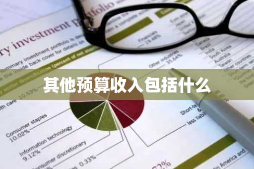 其他预算收入包括什么