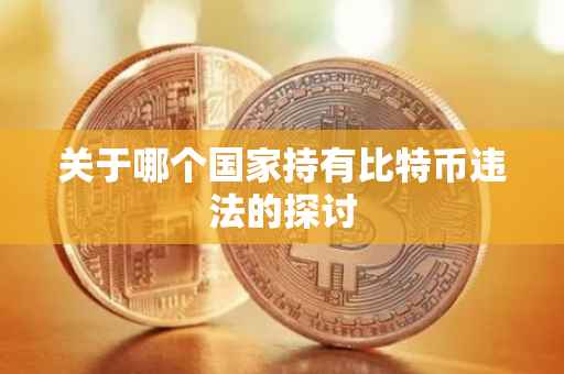 关于哪个国家持有比特币违法的探讨