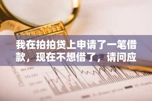 我在拍拍贷上申请了一笔借款，现在不想借了，请问应该怎么撤回啊？