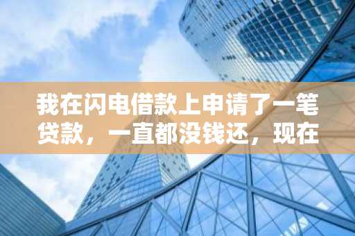 我在闪电借款上申请了一笔贷款，一直都没钱还，现在已经逾期8个月了，请问会有什么后果吗？