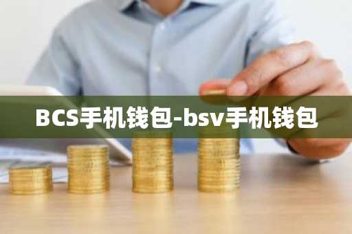BCS手机钱包-bsv手机钱包