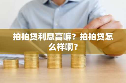 拍拍贷利息高嘛？拍拍贷怎么样啊？