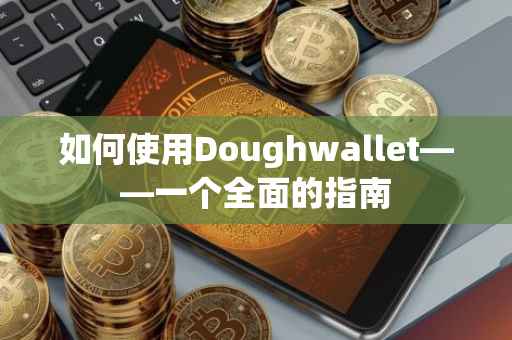 如何使用Doughwallet——一个全面的指南