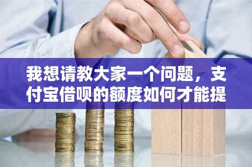 我想请教大家一个问题，支付宝借呗的额度如何才能提升呢？