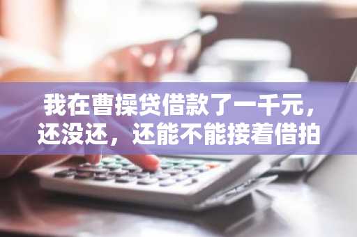 我在曹操贷借款了一千元，还没还，还能不能接着借拍拍贷啊？