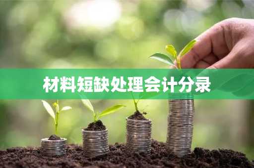 材料短缺处理会计分录