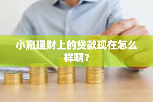 小赢理财上的贷款现在怎么样啊？