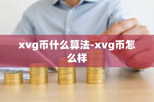 xvg币什么算法-xvg币怎么样