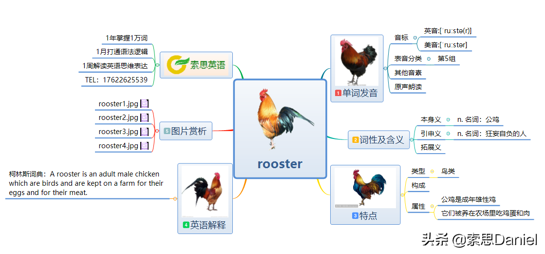 公鸡的英语怎么读（公鸡的英语怎么读dragon）