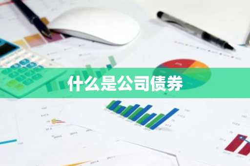 什么是公司债券