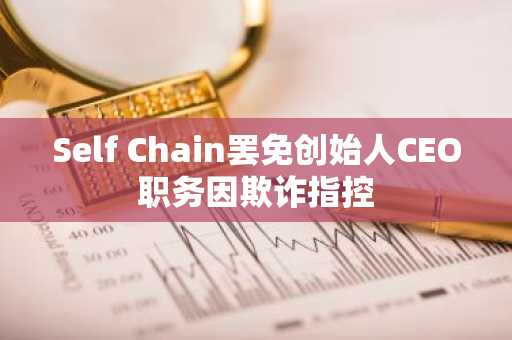 Self Chain罢免创始人CEO职务因欺诈指控
