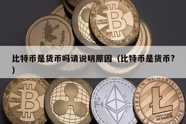 比特币是货币吗请说明原因（比特币是货币?）