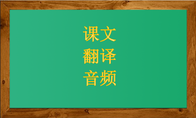 elephants怎么读（the elephants怎么读）