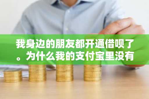 我身边的朋友都开通借呗了。为什么我的支付宝里没有借呗？