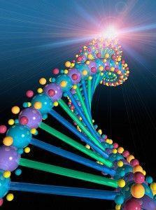 dna的分子结构（dna结构模型图）