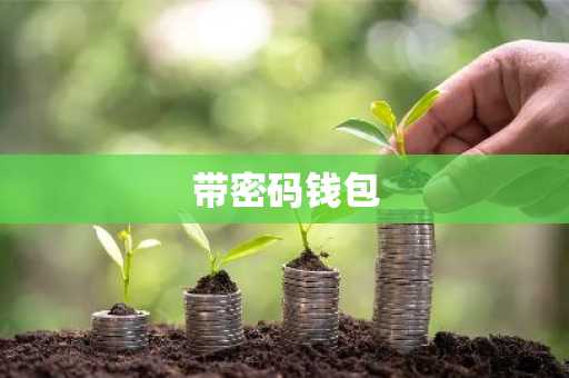 带密码钱包
