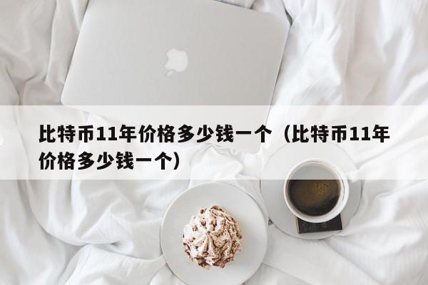 比特币11年价格多少钱一个（比特币11年价格多少钱一个）