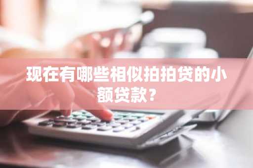 现在有哪些相似拍拍贷的小额贷款？