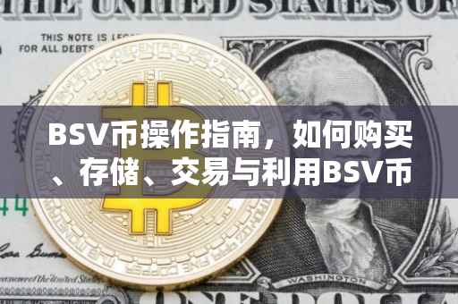 BSV币操作指南，如何购买、存储、交易与利用BSV币